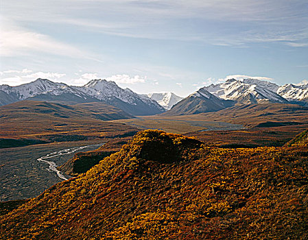 美国,阿拉斯加,东方,河,朴素,阿拉斯加山脉,靠近,多彩,德纳利国家公园和自然保护区
