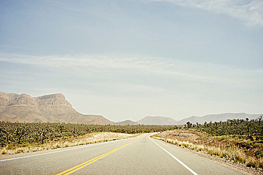 渡轮,道路,途中,大峡谷,西部,亚利桑那,美国