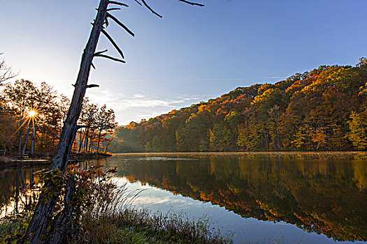 湖,注视,秋天,褐色,州立公园,印地安那,美国