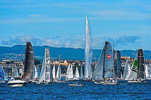 帆船,起跑线,航行,赛舟会,日内瓦湖,日内瓦州,瑞士,欧洲