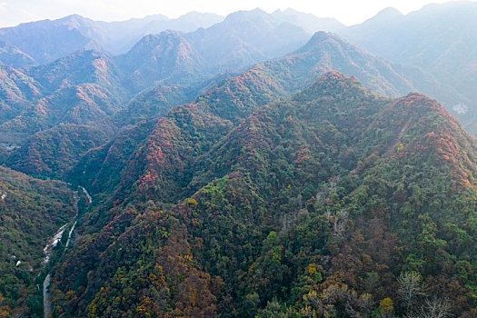 秦岭山秋景