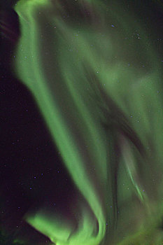 螺旋,北方,极光,北极光,绿色,靠近,育空地区,加拿大