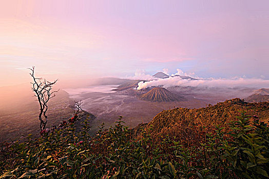 印度尼西亚,爪哇,婆罗摩火山,日出
