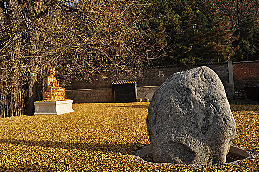 观音禅寺