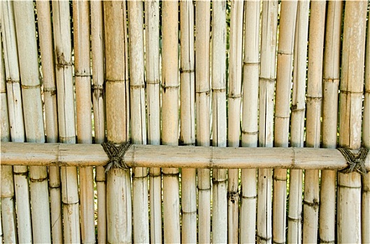 栅栏,竹子