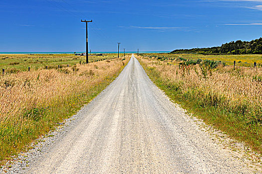 碎石路,伯克,道路,西海岸,南岛,新西兰