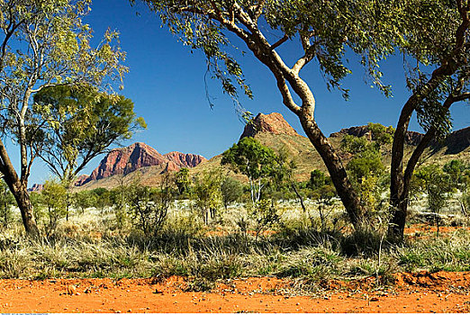 山峦,靠近,悬崖,北领地州,澳大利亚