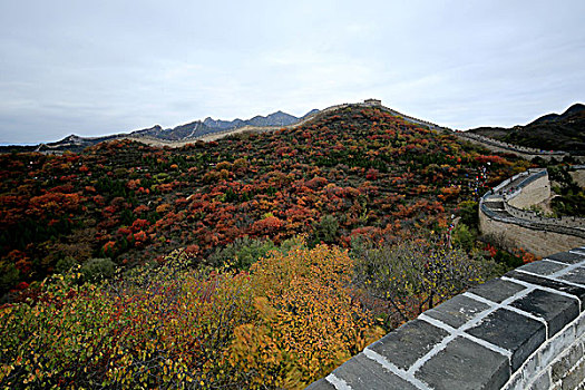 八达岭红叶岭