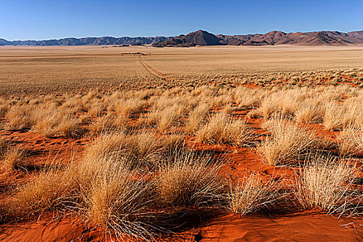 草原,风景,南方,山麓,纳米布沙漠,后面,山,纳米比亚,非洲