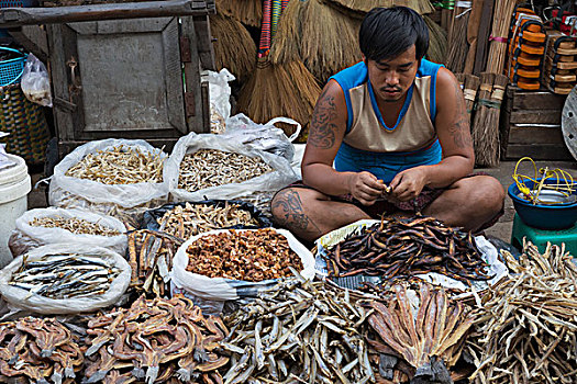 缅甸,干燥,鱼肉,仰光,市场