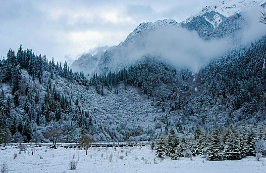 九寨沟,松潘雪景