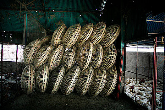 柳条篮,容器,运输,鸡,达卡,孟加拉,二月,2008年