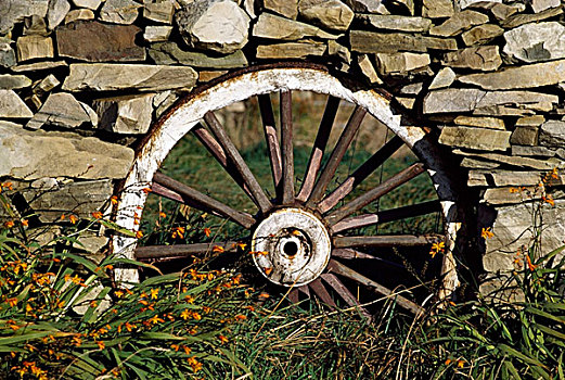 传统,农事,手推车,轮子,石墙,多纳格,爱尔兰