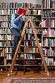 一个,男人,读,梯子,家,图书馆