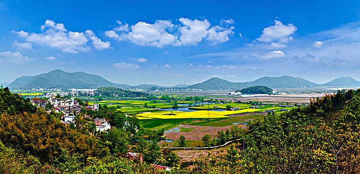 安徽省芜湖市响水涧油菜花田园乡村自然景观