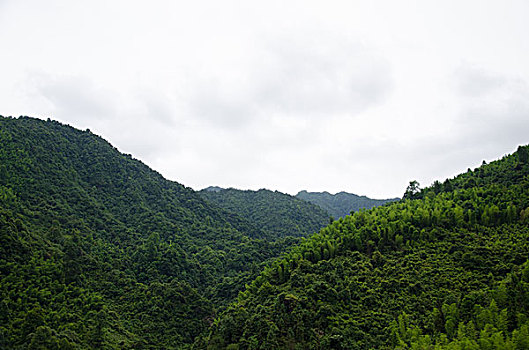 自然背景