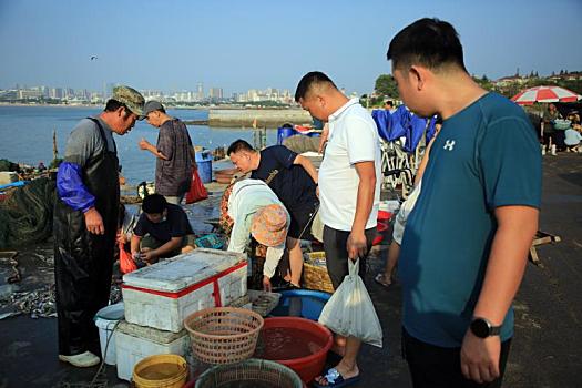 山东省日照市,清晨的渔港人头攒动,码头渔市开启抢,鲜,模式