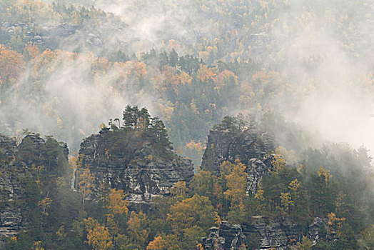 雾,秋天,砂岩,山峦,撒克逊瑞士,萨克森,德国,欧洲