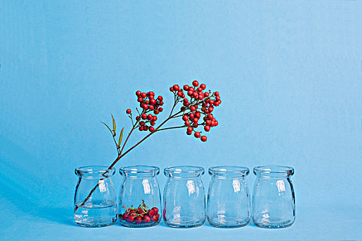 玻璃瓶和红色果子