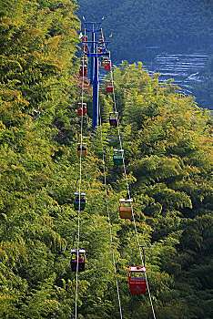 索道,缆车,树林,山