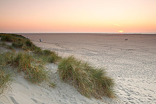 沙丘,海滩,靠近,灯塔,日落,特塞尔,岛屿,荷兰,欧洲