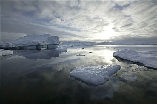 冰山,水中,峡湾,格陵兰
