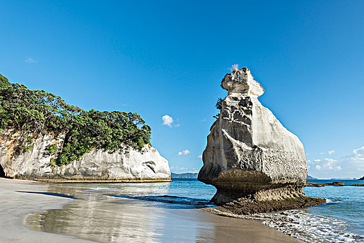 岩石构造,海滩,靠近,大教堂,小湾,水银,湾,科罗曼德尔,半岛,北岛,新西兰,大洋洲