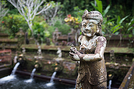女神,寺庙,神圣,水,乡村,巴厘岛,印度尼西亚