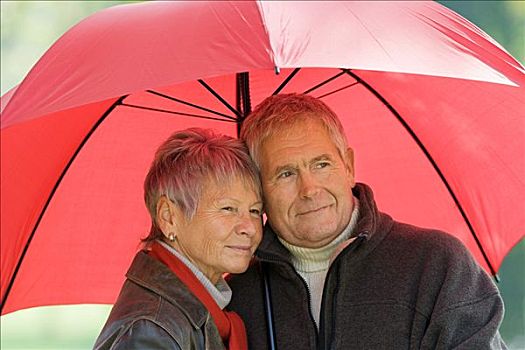 老年,夫妻,红色,伞