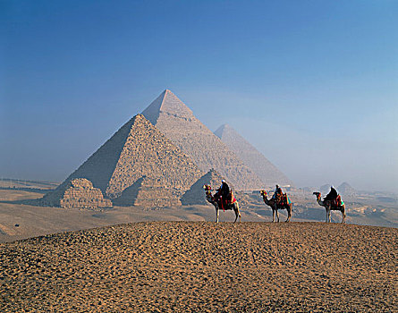 三个人,骑,骆驼,沙漠,吉萨金字塔,埃及