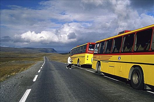 巴士,旅游,北角,挪威