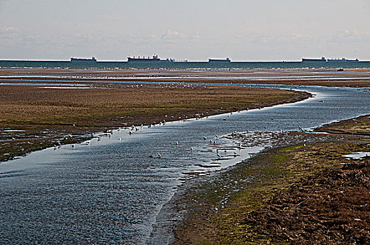 北戴河海滨湿地