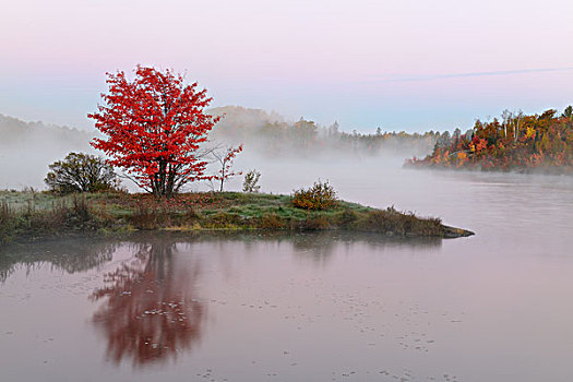 晨雾,湖,萨德伯里,安大略省,加拿大