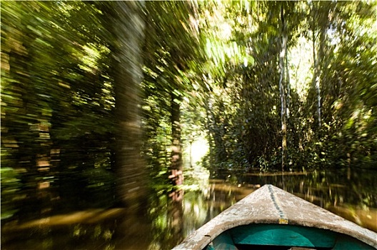 独木舟,亚马逊雨林