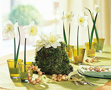 桌饰,水仙花,球根
