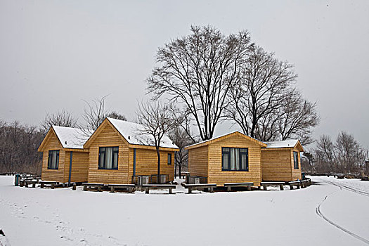 雪,海边,下雪,大海,沙滩,房子,木屋,童话,安静,干净,秦皇岛,北戴河