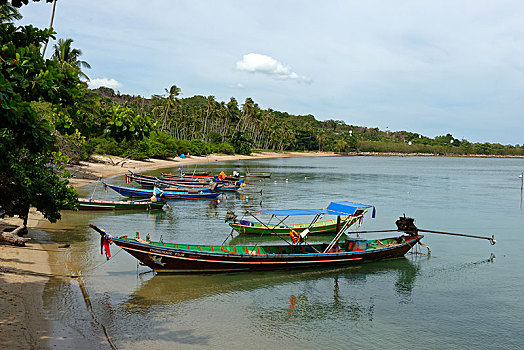 渔船,码头,海滩,苏梅岛,泰国,亚洲