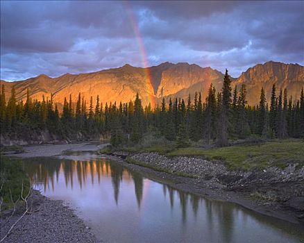 彩虹,上方,溪流,艾伯塔省,加拿大