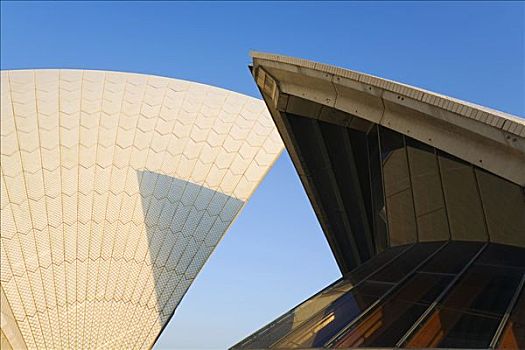 澳大利亚,新南威尔士,悉尼,拱形,屋顶,悉尼歌剧院,剧院,设计,灵感,棕榈叶,上方,白色,瑞典,砖瓦