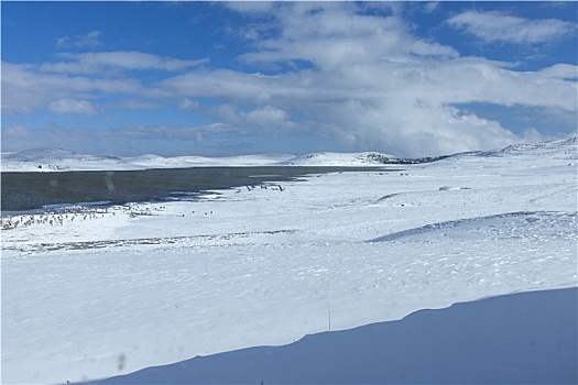 云南昭通大山包大海子湿地蓝天白云雪山风景