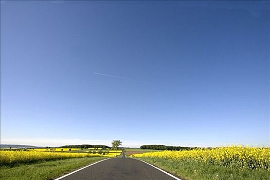 乡村道路