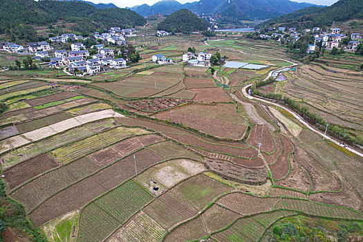 贵州省遵义市汇川区团泽镇蔬菜种植基地及其周边的农舍