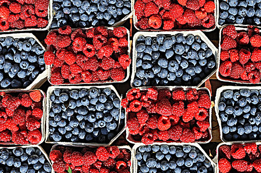 清新,蓝莓,树莓,器具,销售,市场,巴登符腾堡,德国,欧洲