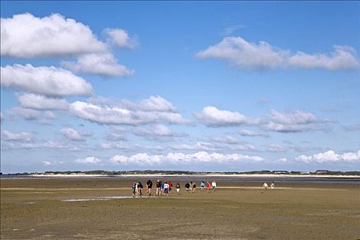 泥滩,远足,旅游,岛屿,北方,弗里斯兰省,石荷州,德国