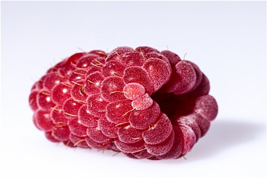 一个,红色树莓,隔绝,白色背景,背景