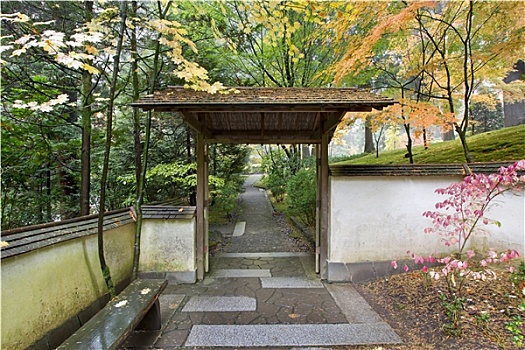 大门,道路,日式庭园