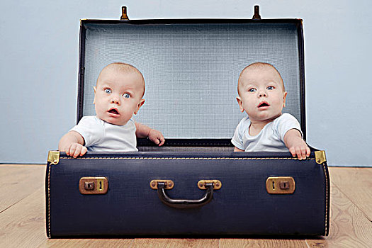 两个,男婴,坐,手提箱,头像