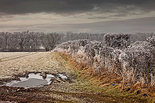 霜,农作物,坎布里亚,英格兰