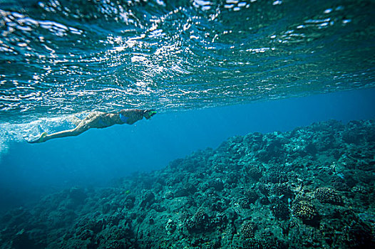 水下呼吸管,游泳,珊瑚