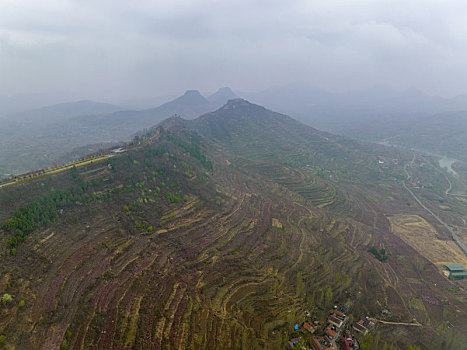 山东蒙阴岱崮地貌桃花盛开